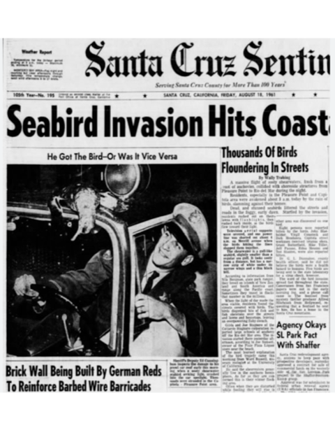 Alfred Hitchcock Festival Santa Cruz Sentinel Seabird Invation Article